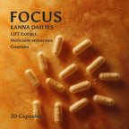 Focus Kanna Dailies