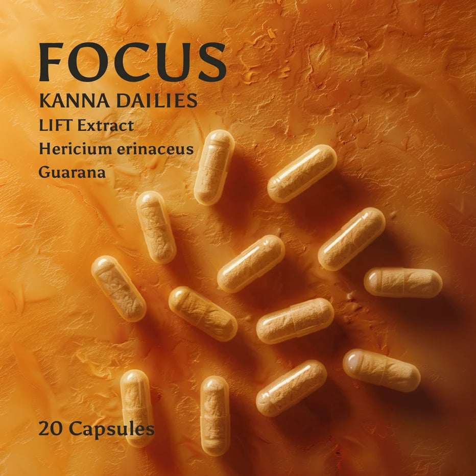 Focus Kanna Dailies